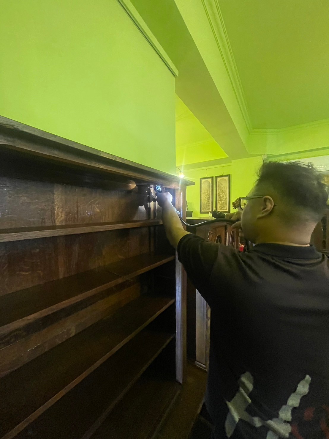 20250301白蟻防治的第5張圖片